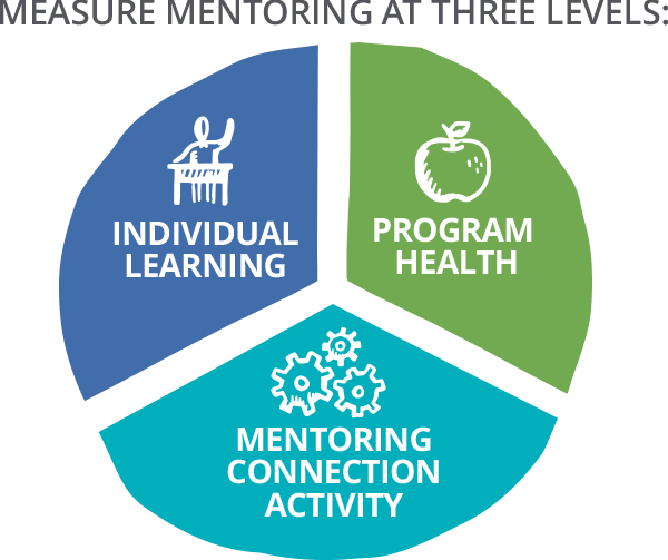 Measure mentoring at three levels- individual learning, program health and mentoring connection activity
