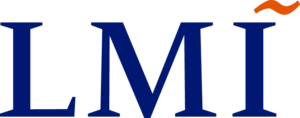 LMI government consultancy logo