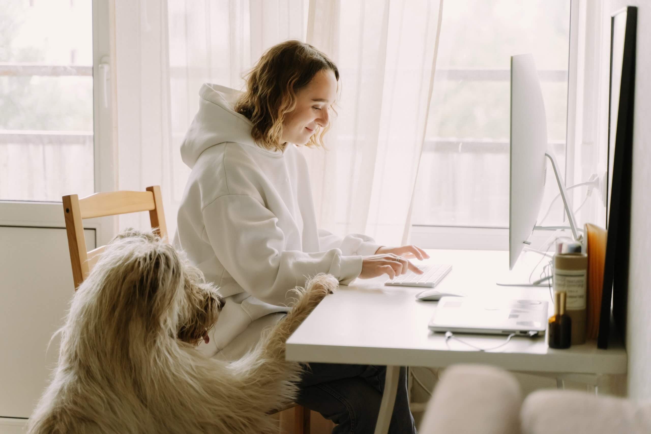 Desk Buddy - Your Hybrid Workplace Assistant 