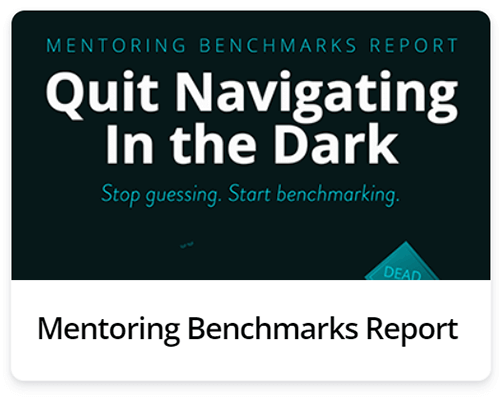 Mentoring Benchmarks Report