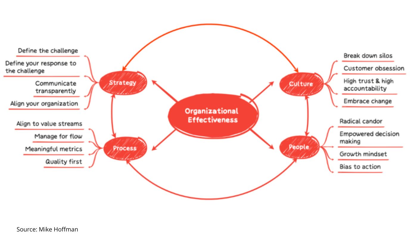 organizational effectiveness with Mike Hoffman